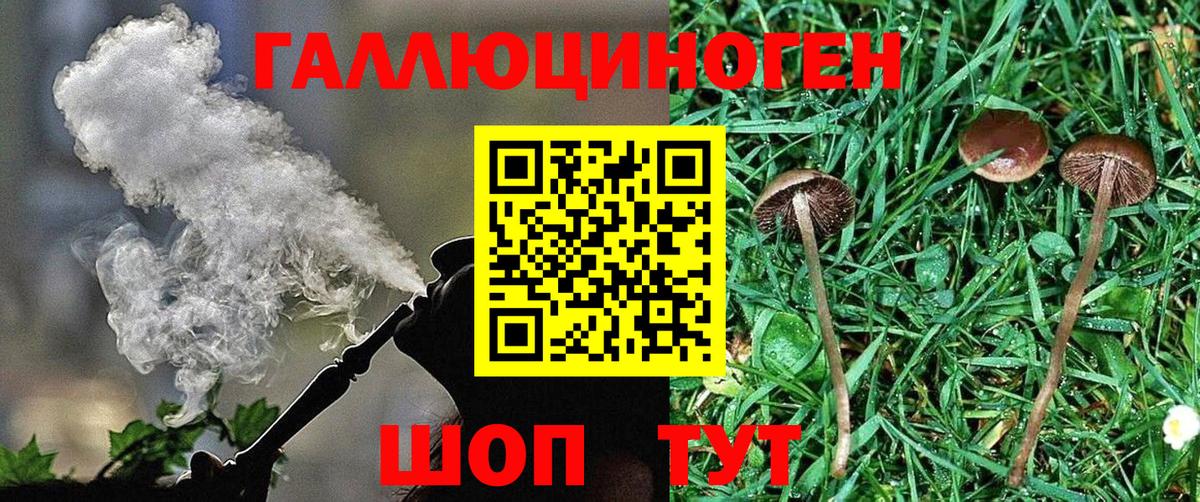 Галлюциногенные грибы мухоморы  Вход с VPN  Среднеуральск 